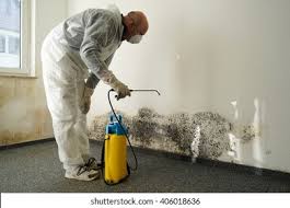 Hillsboro, OH Mold Inspection Company